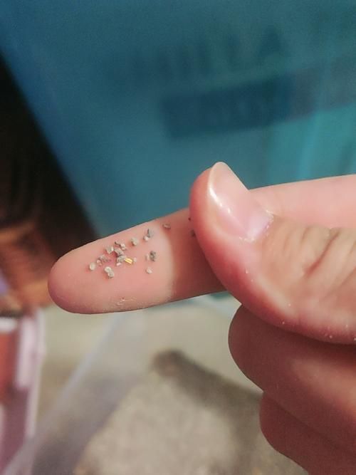 仓鼠的尿沙是怎么放的，仓鼠尿盆放角落，铺沙隔木勤清理