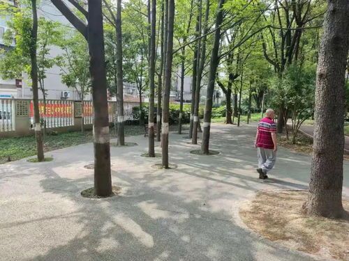 “抗应激狗粮，守护宠物心理健康”