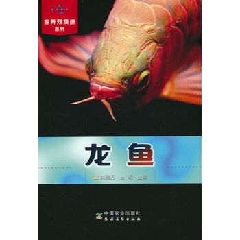 龙鱼(家养观赏鱼系列) 