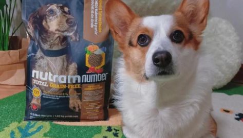 进口狗粮品牌排行推荐纽顿T27犬粮，低敏配方，肠胃好消化