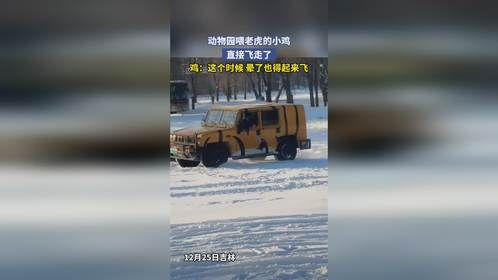 动物园喂老虎的小鸡，直接飞走了，鸡：这个时候 晕了也得起来飞