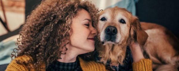 猫狗最适合绝育的年龄是什么时候 猫狗绝育的最佳时间