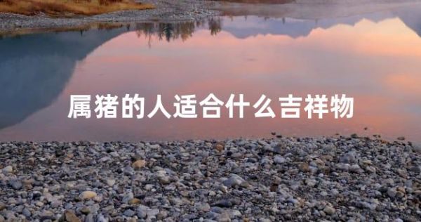 属猪的人适合什么吉祥物