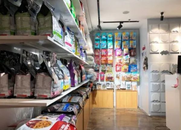 “双11”宠物商家数量增长五成 即时零售宠物品类猛增