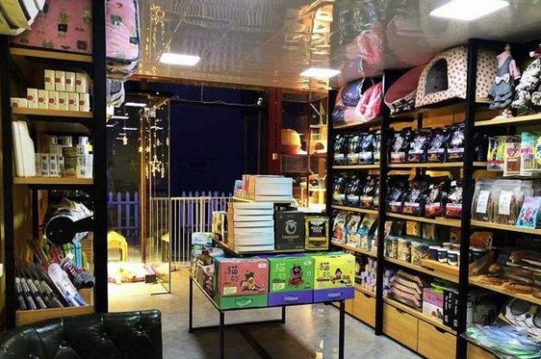 “双11”宠物商家数量增长五成 即时零售宠物品类猛增