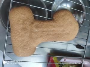 宠物蛋糕2的做法 步骤5