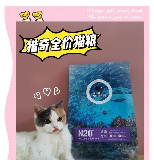 中国允许养的十种稀有宠物，探寻猎奇世界（揭秘中国允许饲养的稀有宠物，让你领略不一样的宠物养殖文化）