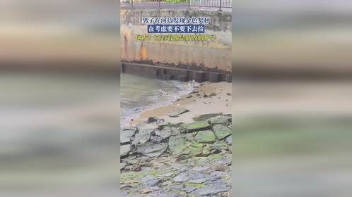 男子在河边发现金色奖杯，在考虑要不要下去捡，网友：这看着像是插香的炉子