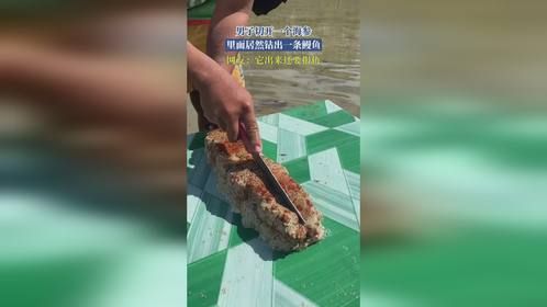 男子切开一个海参，里面居然钻出一条鳗鱼，网友：它出来还要报仇