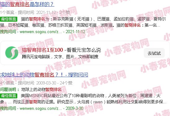 猫智商排名1至100