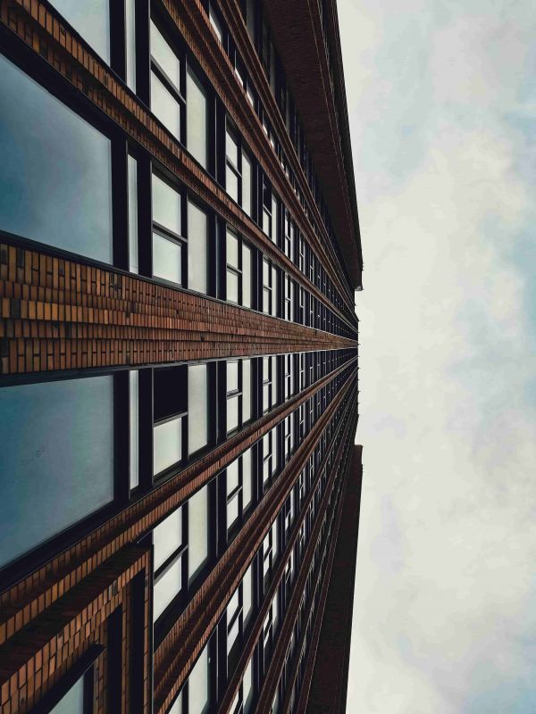 巴西龟养殖手册:习性解析、环境配置与饮食要点(巴西龟饲养方法以及日常护理注意事项)