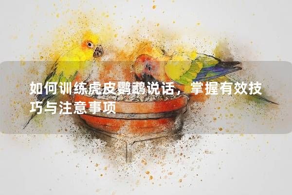 如何训练虎皮鹦鹉说话，掌握有效技巧与注意事项