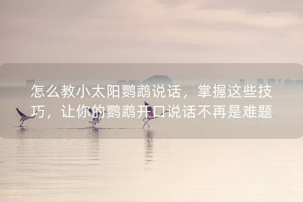 怎么教小太阳鹦鹉说话，掌握这些技巧，让你的鹦鹉开口说话不再是难题