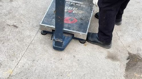 悲哀！宠物狗按肉价卖掉，狗吓得趴着不敢动，已预知了自己的命运