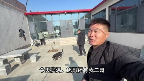 小天天买了一套羊杂，再整一桌小菜两瓶白酒，旭哥二哥又喝美了
