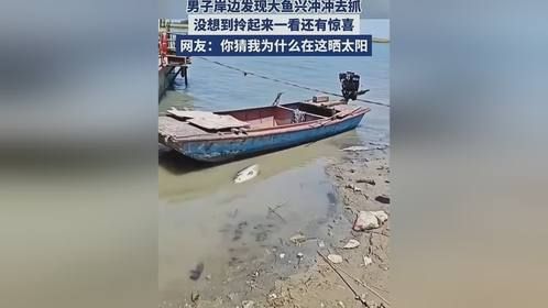 白捡一条大鱼……高兴太早了