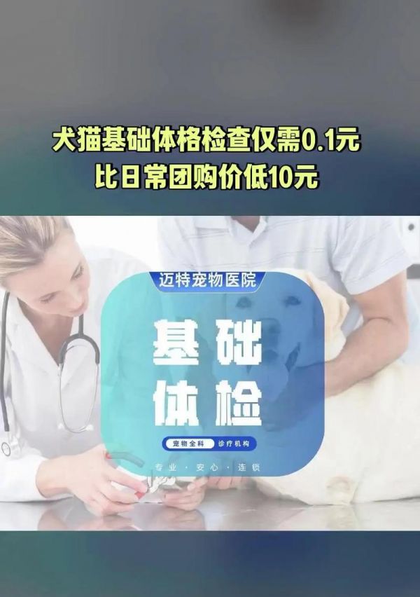 宠物体检的重要性与内容（宠物体检）