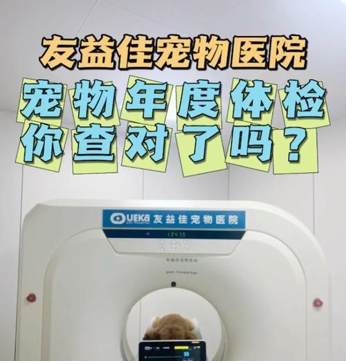 宠物医生体检6大必查，宠物健康把关（详解宠物体检的6项关键指标，提前预防疾病风险）