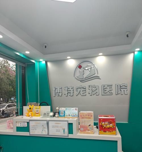 宠物医生体检6大必查，宠物健康把关（详解宠物体检的6项关键指标，提前预防疾病风险）