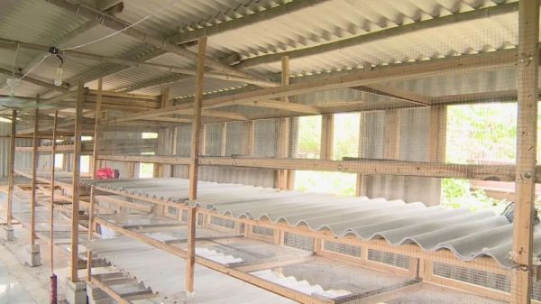 看着养殖场场房"落地",仓鼠们挪进了宽敞的"新窝",45岁的贫困户孙财生