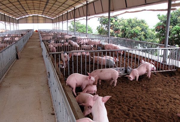 养殖场等设施农业建设只需备案无需批准,可以随便建吗?