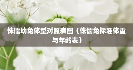 侏儒幼兔体型对照表图（侏儒兔标准体重与年龄表）