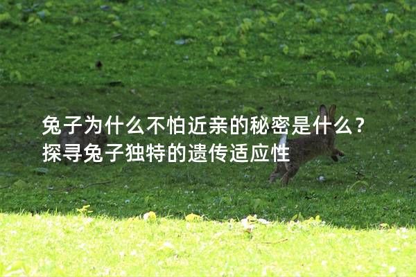 兔子为什么不怕近亲的秘密是什么？探寻兔子独特的遗传适应性