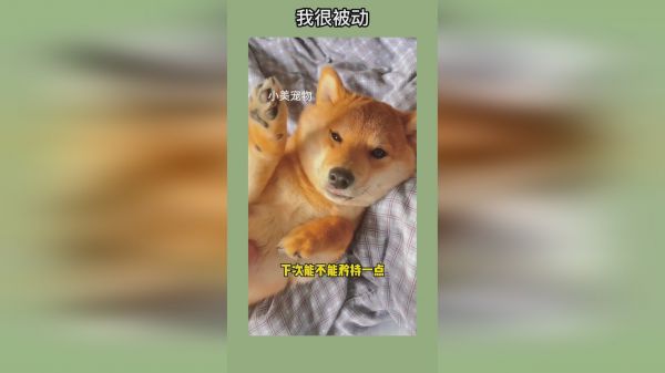 我想摸摸..你这样...让我很被动