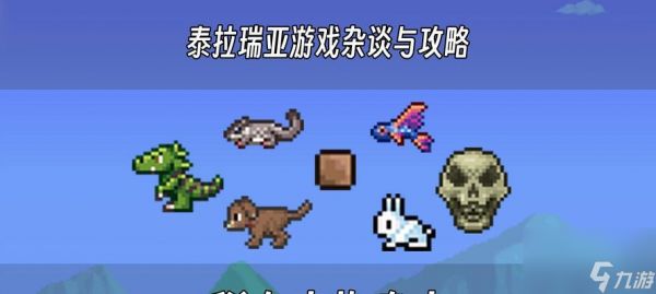 《泰拉瑞亚宠物鹦鹉的属性解析》（探索泰拉瑞亚世界中的鹦鹉宠物及其特性）