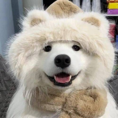 可爱治愈系头像动物图片大全