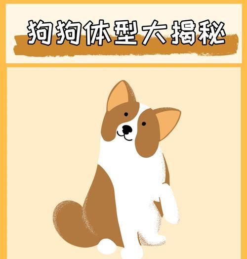 如何正确给不同体型的狗狗喂食？（科学合理的饮食量保证宠物健康）