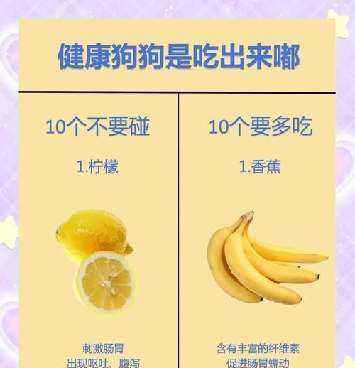 如何正确给不同体型的狗狗喂食？（科学合理的饮食量保证宠物健康）