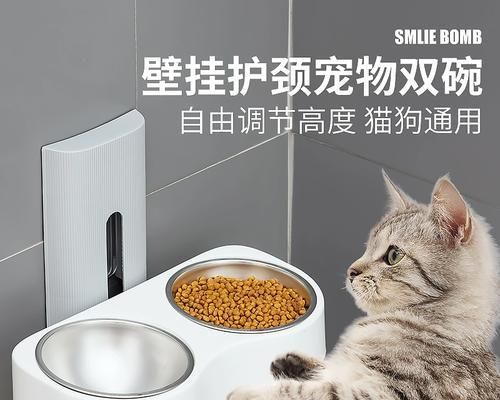 喂食博美的注意事项（宠物博美的饮食健康）