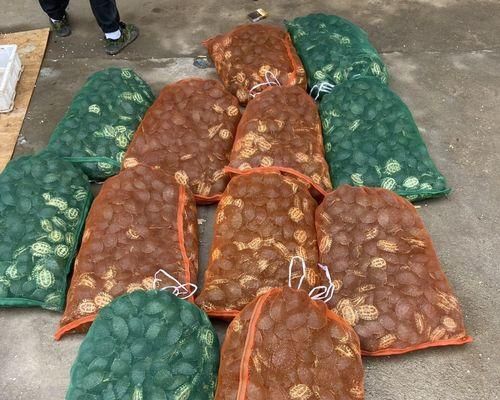 巧克力色的宠物伴侣——饲养巴西红耳龟（如何打理巴西红耳龟的饮食、居住环境和健康）