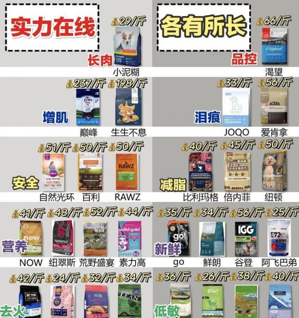 普通狗的健康饮食指南（为你的宠物提供最适合的狗粮）