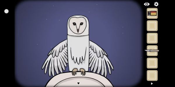 频道问问回答引用图片