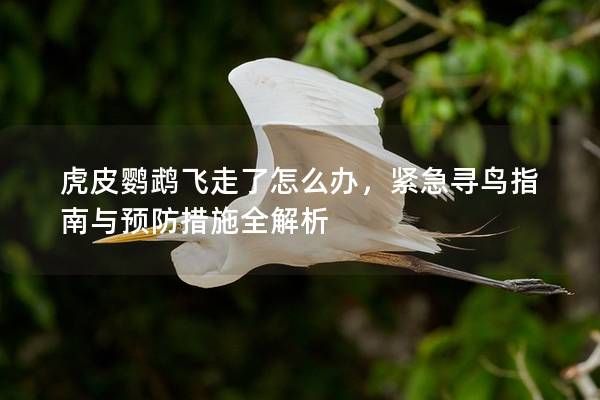 虎皮鹦鹉飞走了怎么办，紧急寻鸟指南与预防措施全解析