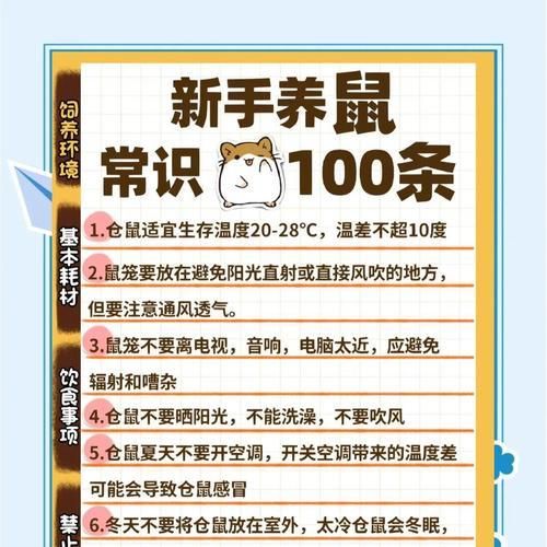 如何科学饲养大仓鼠（营养平衡、环境舒适，让宠物健康成长）