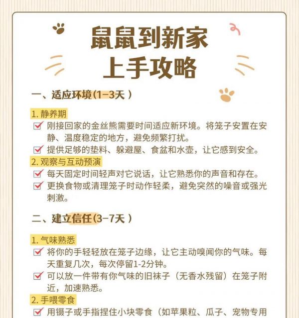 如何科学饲养大仓鼠（营养平衡、环境舒适，让宠物健康成长）