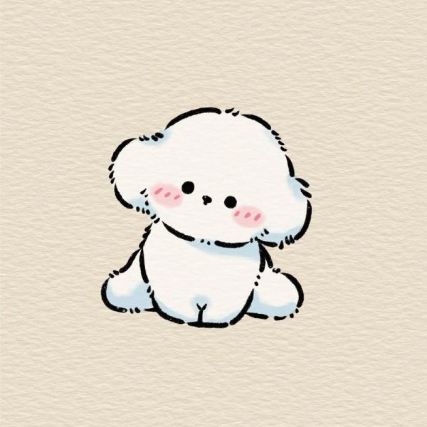 一学就会的简笔画附教程可爱的比熊来喽一学就会系列抖音