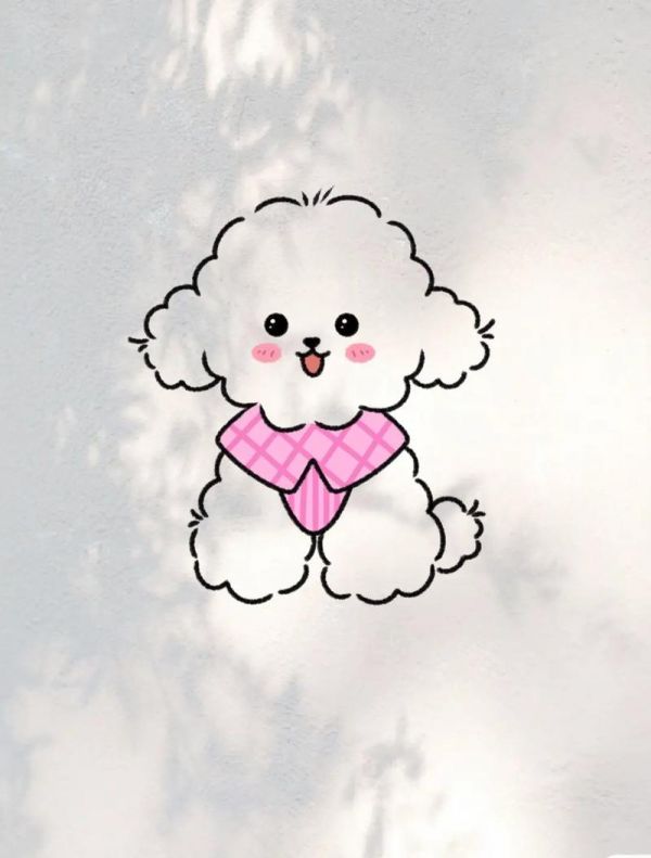 小比熊求领养可爱的小比熊简笔画附教程哦简笔画亲子简抖音