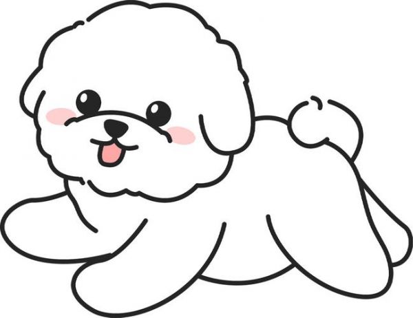 比熊犬喂养手册一颗会卖萌的棉花糖