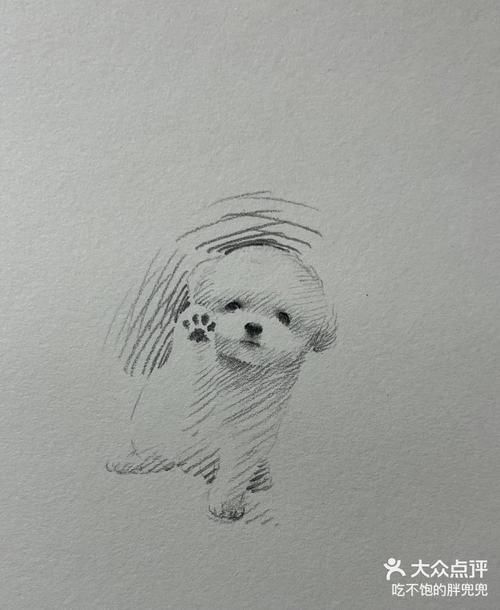 1352关注简单几笔速写出可爱的小比熊未来画室简单几笔画个