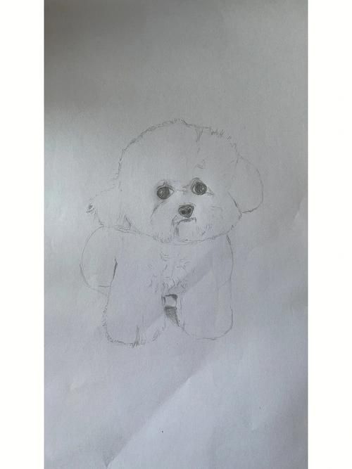 自学画修狗第一天比熊宠物宠物画像宠物玻璃画