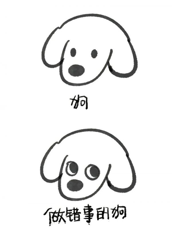 抓包现场比熊狗狗萌宠日常记录笨蛋小狗一看抖音