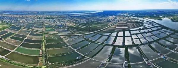 点击查看高清原图