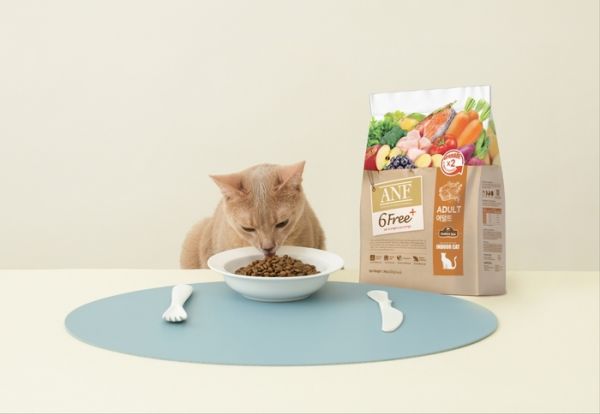 宠物食品专门企业"我们和株式会社"提出了宠物猫营养管理解决方案。 =照片提供:我们和株式会社。