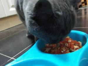 简易猫粮的做法 步骤3