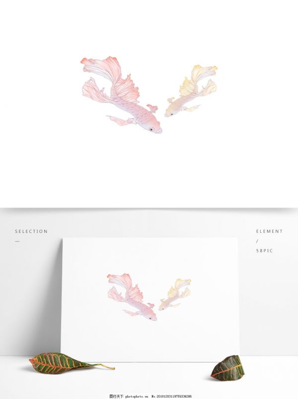 手绘金鱼动物元素鱼动物游鱼手账元素装饰