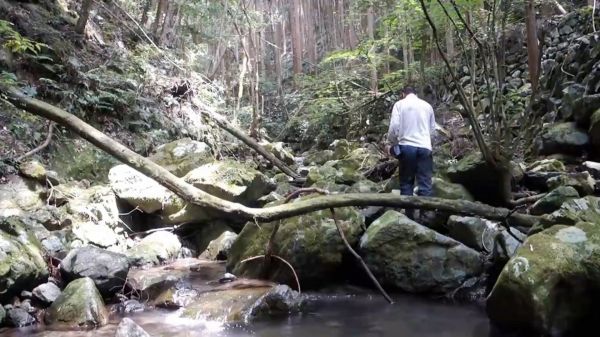 带你看看日本深山采桩人